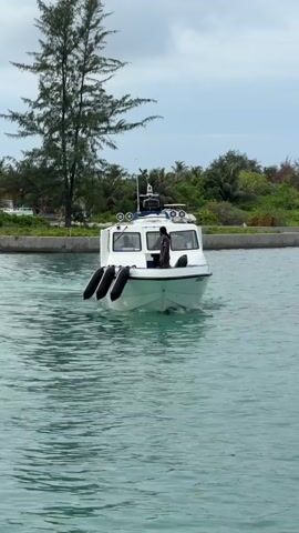 A medium shot of a white motor boat approaching the camera in a body of water, likely a harbor or channel, with land and greenery visible in the background. The boat has black bumpers and a small cabin with a man visible inside, possibly piloting the vessel. The water is calm and turquoise-green, reflecting the cloudy sky above. A tall, slender tree stands on the left, adding depth to the scene. The overall ambiance suggests a tropical or subtropical location with marine activity.