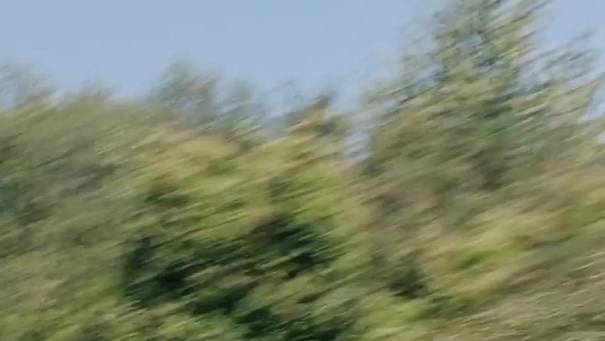The video is a blurred, shaky, first-person perspective of a landscape. The view is primarily of trees and a hill in the background. The sky is clear and blue. The motion suggests the viewer is in a moving vehicle. There are no people or identifiable objects.