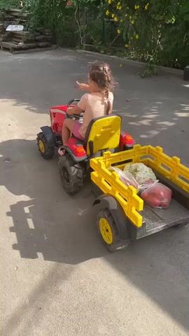A young girl rides a red toy tractor with a yellow trailer attached. The trailer contains produce, including what appears to be white cauliflower and red tomatoes. The girl is wearing a tan t-shirt and pink shorts. She is holding onto the steering wheel and looking forward. Her hair is in pigtails. A black and white dog runs across the scene in the background during the first few seconds. The tractor is on a paved surface, likely a driveway or path, with a shadow cast from trees or other foliage. The environment appears to be outdoors in a residential or backyard setting.