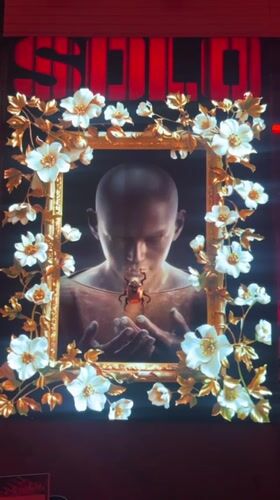 Nightlife scenes documented at Futian District entertainment venue
