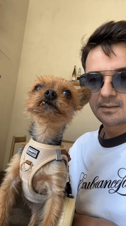 Man with Yorkshire Terrier visits cafe in Batumi