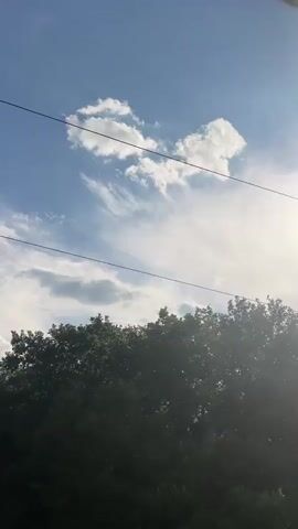 This media file captures a serene outdoor scene with a focus on the sky and vegetation.

**Subjects:** The primary subjects are the sky, characterized by a bright blue canvas dotted with white clouds, and a dense line of green trees and foliage forming the lower part of the frame. There are no people or discernible objects other than the natural elements and what appear to be power lines stretching horizontally across the sky.

**Scene and Setting:** The setting is clearly outdoors, likely a rural or semi-rural environment given the abundance of trees and the absence of urban structures. The presence of power lines suggests proximity to human infrastructure, but not necessarily a heavily populated area. The location context provided is Morozovka, Russia.

**Activity or Event:** No specific activity or event is taking place. The media appears to be a still capture or a slow-moving video of a natural landscape. The clouds suggest atmospheric movement, but it's not a dynamic event.

**Notable Details:**
*   **Time of Day:** The bright sunlight and clear sky indicate it is daytime, likely mid-morning to late afternoon. The angle of the sun, slightly obscured by clouds on the right, suggests it is not directly overhead.
*   **Weather:** The weather appears to be pleasant with a clear blue sky and scattered white clouds, some of which are wispy and elongated, suggesting light breezes.
*   **Location Cues:** The specific mention of Morozovka, Russia, provides geographical context. The type of trees and foliage could offer further clues for those familiar with the region's flora.
*   **Emotions:** The overall impression is one of tranquility and natural beauty, evoking a sense of calm and peace.

**Visible Text:** There is no visible text within the media file.