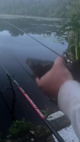The video begins with a close-up of a person's hand holding a dark-colored fish. The fish appears to be small to medium in size. The background shows a body of water, likely a lake or pond, with faint fog or mist hovering over the surface. Several fishing rods are visible, propped up near the water's edge. The lighting suggests it is either early morning or late evening. The person's hand is somewhat obscured by the fish, but they are wearing a white long-sleeved shirt. The camera then shifts slightly, revealing more of the fishing rods and the water. The person's hands are seen adjusting their grip on the fish. The scene is natural and appears to be outdoors.