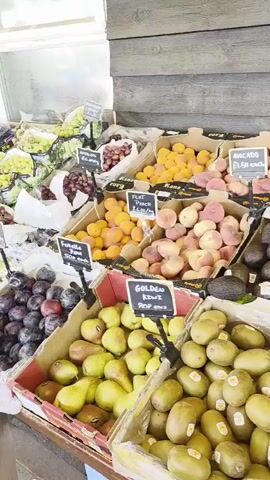 The video shows a fruit stand or market with a variety of fruits displayed in boxes. The fruits include grapes (green and red), plums (red and dark purple), peaches, pears, kiwi, strawberries, cherries, lemons, avocados, oranges, pineapples, mangos, dragon fruit, melons, and tomatoes. The fruit is arranged in cardboard boxes or trays on a wooden table or stand. Small black signs are displayed next to each type of fruit. The stand is located outside, and the background includes a wooden building and a window. There are no people visible in the video. The camera pans across the fruit selection.