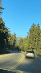 Silver SUV filmed on winding forest road in Cherry Creek