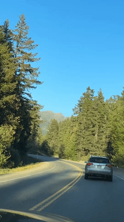 Silver SUV filmed on winding forest road in Cherry Creek