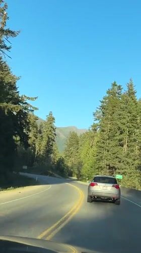 Silver SUV filmed on winding forest road in Cherry Creek