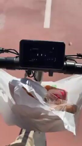 The video shows a first-person view from the handlebars of an electric scooter riding on a red bike path. A white plastic bag filled with food items hangs from the handlebars. A smartphone or similar device is mounted on the handlebars as well, obscuring the view a bit. The bike path has a white dashed line down the center. There's a road with cars on one side of the bike path and a grassy area with benches on the other side. The sky is overcast. The scooter moves along the bike path.