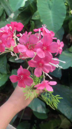 Artificial flowers displayed outdoors in Kuala Pembuang, Indonesia