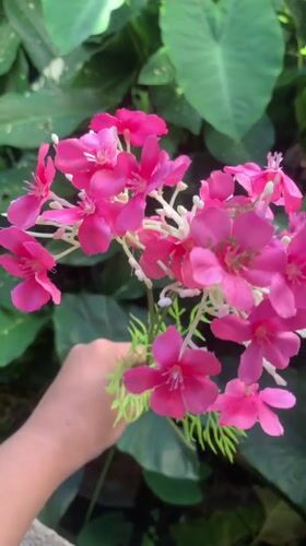 Artificial flowers displayed outdoors in Kuala Pembuang, Indonesia