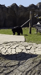 Zoo visitors document animals and exhibits at Izhevsk Zoo