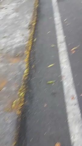 A low-angle, slightly shaky first-person perspective video shows a person walking on a paved sidewalk next to a street. A white line marks the edge of the sidewalk. To the left of the sidewalk are trees and a concrete structure. The street has several vehicles, including cars and motorcycles, and some people walking. The sun is shining, casting shadows. A woman in a black dress and a man in a white shirt and dark pants are walking ahead of the camera.