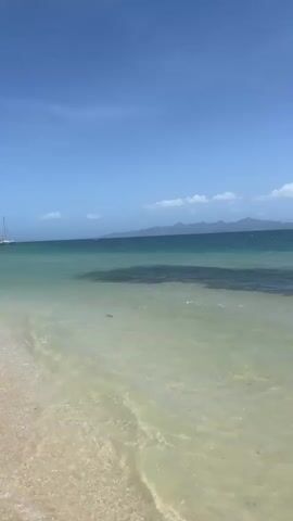 The video shows a beach scene with a blue sky and clear water. In the background, there is a faint outline of land. Two catamaran boats are anchored in the shallow water, with people on board and swimming near them. A person wearing a blue shirt and patterned shorts walks through the water towards the camera. Other people are seen standing and wading in the water. The water is clear and shallow, with a sandy bottom visible. The overall atmosphere is bright and sunny, suggesting a pleasant day at the beach. The hashtag #ISLAGUABEACH is visible on the side of the boat.