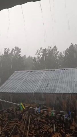 The video shows a close-up view of heavy rain falling. The rain is visible as streaks against a cloudy sky. In the background, there is a wooden structure with a corrugated metal roof. In front of the structure, there is a pile of firewood. A clothesline with several clothespins is strung across the foreground. The trees in the distance are blurred due to the rain and wind.