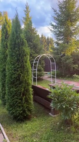 This video showcases a serene backyard garden scene in Tmz SNT, Russia. The time appears to be late afternoon or early evening, with the warm sunlight casting a golden glow on the lush greenery and filtering through the trees. The sky is partly cloudy, hinting at fair weather.

The primary subjects are a row of tall, conical evergreen trees, likely cypresses or junipers, that line a decorative brick pathway. This pathway meanders through the garden, bordered by manicured grass. In the background, a white, arched trellis stands, suggesting a charming garden feature. Further back, a wooden bench is visible, and a glimpse of a wooden fence and a small gazebo with a white curtain can be seen, adding to the tranquil, domestic atmosphere. A colorful inflatable ball rests on the ground near some plants, adding a touch of playfulness.

The scene evokes a sense of peacefulness and domestic tranquility. The focus is on the natural beauty of the garden and its well-maintained elements. There is no discernible activity or event taking place; it is a still, contemplative snapshot of a well-loved outdoor space. No text is visible in the media.