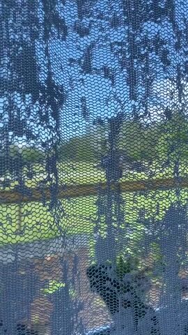 The video captures a view through a sheer, dark-colored lace curtain. The curtain has a pattern of interconnected circles and wavy lines. Beyond the curtain, a blurred outdoor scene is visible. The background consists of a bright blue sky with some clouds, a line of green trees, and a field of green grass. A wooden railing or fence is also faintly visible horizontally across the middle ground. The overall impression is a soft, muted view of a landscape through a decorative window covering.