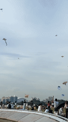 Colorful kites fill Singapore park skies on sunny Sunday