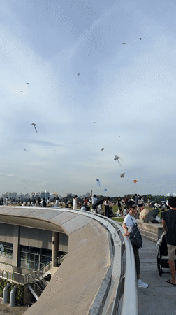 Colorful kites fill Singapore park skies on sunny Sunday