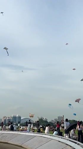 Colorful kites fill Singapore park skies on sunny Sunday