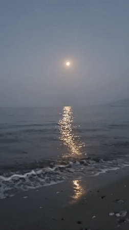 Moonlit evening on the Greek coast near Litochorou