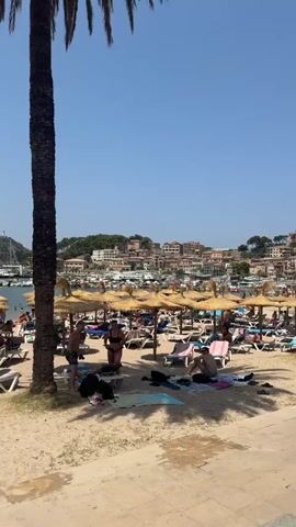 The video pans across a crowded beach on a sunny day. Numerous beach umbrellas and lounge chairs are set up on the sand, with many people relaxing on them. In the background, a bay filled with boats is visible, with buildings and hills beyond. Palm trees are scattered throughout the scene.