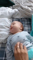 Family captures quiet morning moments in Andreyevo, Russia