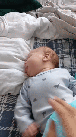 Family captures quiet morning moments in Andreyevo, Russia