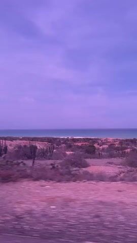 The video shows a landscape by the sea, with a beach visible in the distance. The foreground is filled with vegetation, possibly cacti and bushes, growing on a rocky terrain. The sky is purple, lending an unusual hue to the scene. The video is taken from a moving vehicle, blurring the immediate foreground. The sound of music is audible.