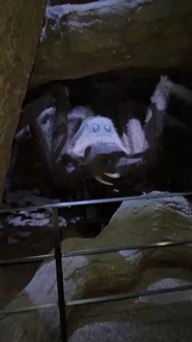 The video shows a dark, cavernous environment with large, rocky formations. Several oversized, fuzzy spider props are visible, some perched on the rocks, others hanging from the ceiling. The lighting is dim, with spotlights illuminating the spider models. A metal railing is visible in the foreground, suggesting a viewing path for visitors. In the final frame, a few people are dimly visible in the background, indicating this is likely an attraction or exhibit. The overall impression is that of a spider-themed exhibit within a cave-like setting.