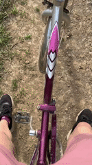 Cyclist encounters three dogs on dirt path in Nizhny Tagil