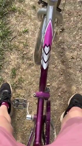 Cyclist encounters three dogs on dirt path in Nizhny Tagil