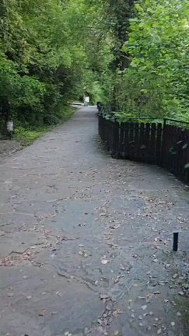 The video shows a paved pathway winding through a wooded area. The pathway is lined on the right by a dark wooden fence and on the left by dense green trees and bushes. Fallen leaves are scattered across the pathway. Further along the pathway, there are two empty benches and a trash receptacle on the left side. In the distance, there are indications of people walking on the pathway. The lighting suggests it is daytime, possibly late afternoon or early evening. The overall atmosphere is serene and natural.