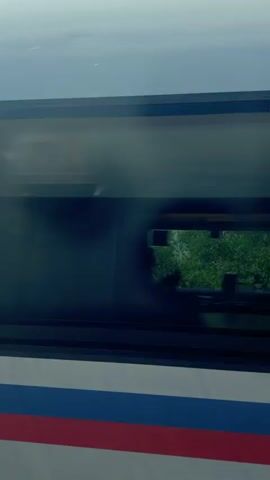 The video shows a view from a moving train. Initially, a close-up of the train's window with a red, white, and blue stripe is seen. The reflection shows an interior view. The camera then focuses on the outside scenery. Green trees and grass are visible, separated by a grey chain-link fence. Beyond the trees, a body of water can be seen. Above the trees, there is a clear blue sky with power lines.