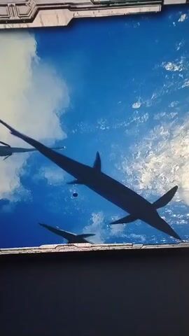 The video displays a digital animation, likely from a video game or documentary, depicting a blue sky with white clouds. Silhouetted against the sky are three long, aquatic creatures with fins, resembling marine reptiles. The camera angle is looking up at them from below, as if from underwater. The creatures are in motion, with one in the foreground appearing to swim towards the right and another in the background also moving. A smaller, dark circular object is visible in the sky between the creatures. The frame is bordered by a metallic, futuristic-looking design at the top and bottom. The footage appears to be captured from a screen, with some glare and reflections visible.