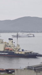 Vladivostok harbor: ships, bridges, and a cloudy port morning