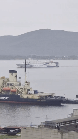 Vladivostok harbor: ships, bridges, and a cloudy port morning