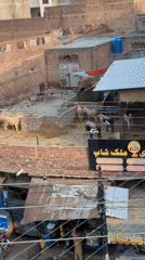 Rooftop views and everyday objects in a Lahore neighborhood