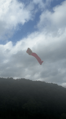 Horses tethered on Da Lat hillsides, kites in the mist