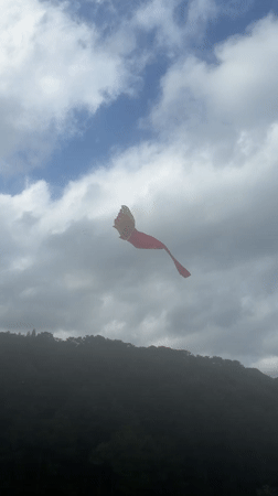 Horses tethered on Da Lat hillsides, kites in the mist