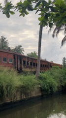 Abandoned train carriage documented amid overgrown vegetation in Galle