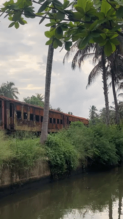 Abandoned train carriage documented amid overgrown vegetation in Galle