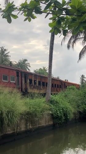 Abandoned train carriage documented amid overgrown vegetation in Galle