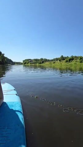 A person is paddleboarding on a dark, calm river. The paddle is visible as the person dips it into the water. The riverbanks are lined with lush green trees. The sky is a clear, bright blue, indicating a sunny day. The camera is positioned on the paddleboard, giving a first-person perspective of the activity.