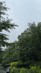 Rainy morning scenes captured in Shanghai's Putuo District