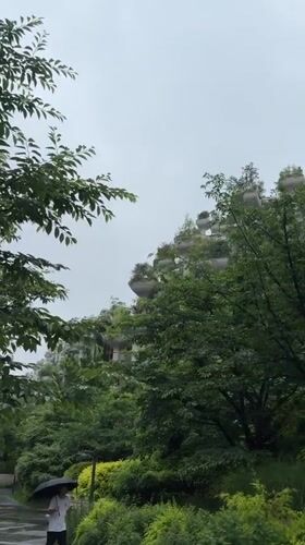 Rainy morning scenes captured in Shanghai's Putuo District