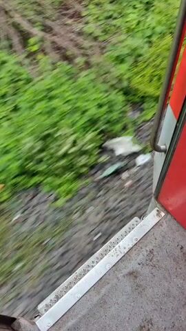 The video shows a first-person perspective from a moving train. The camera is pointed downwards and outwards, focusing on the train's steps and the blurred greenery and tracks passing by. The steps are made of metal with a textured surface for grip and are attached to a red train car. The environment outside the train is lush with green foliage, indicating it is likely a rural or natural setting. The motion of the train creates a blur effect, emphasizing the speed of travel. There are no people visible in the video, and the focus is on the movement and the surrounding landscape.
