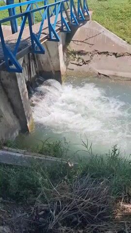 The video shows a close-up shot of water flowing rapidly through a concrete spillway or sluice gate. The water is turbulent and foamy as it cascades downwards. Above the spillway, a blue metal railing with a walking path is visible. The surrounding area is overgrown with green grass and some dry, brown brush. The overall impression is of an active water management system in a natural or semi-natural environment.
