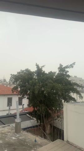 The video shows a view from a window overlooking a cityscape on an overcast day. In the foreground, there's a flat rooftop. A tree with green leaves is visible on the right side of the frame. Behind the rooftop and to the left of the tree is a two-story white building with a red tile roof and green shutters on the windows. Several metal ventilation shafts are visible on the rooftop. In the background, the cityscape is visible with other buildings, some tall, against the overcast sky. The overall scene is hazy due to the cloudy sky.