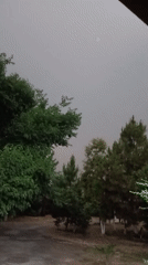 Overcast sky with trees captured on video