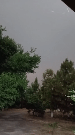 Overcast sky with trees captured on video